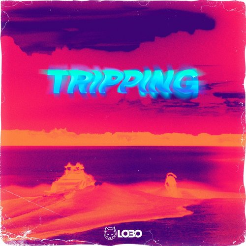 Lobo DJ - Tripping [EMS023]
